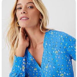 Ann Taylor Blue Floral Blouse